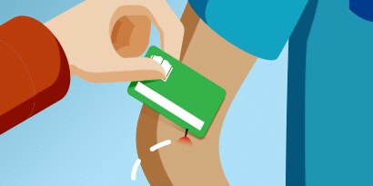 COMO COMBATER PICADAS DE INSETOS