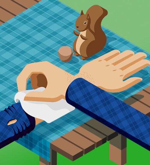 COMO TRATAR A MORDIDELA DE UM ANIMAL